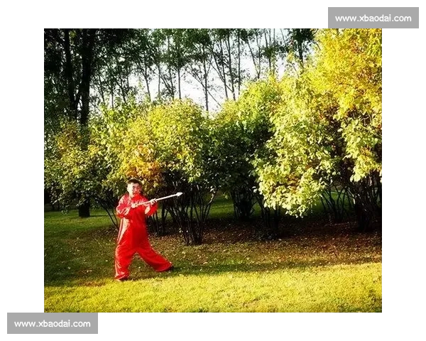 以鉞比赛为主题的竞技魅力与文化传承探索