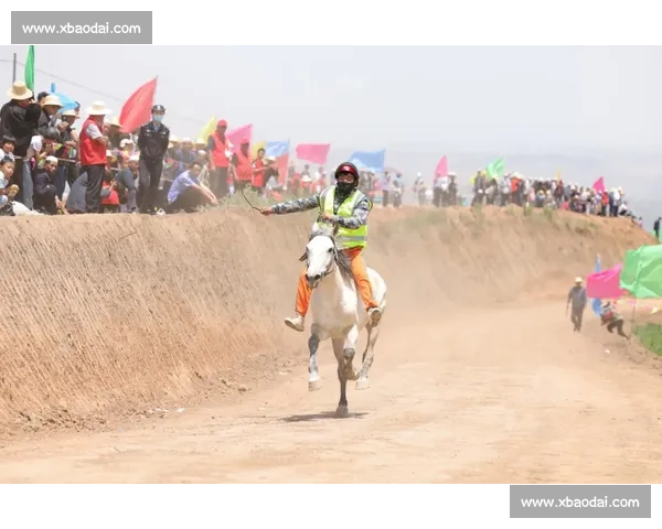 全球最快赛马挑战赛精彩瞬间 速度与激情的极限较量 全球最快赛马挑战赛精彩瞬间 速度与激情的极限较量