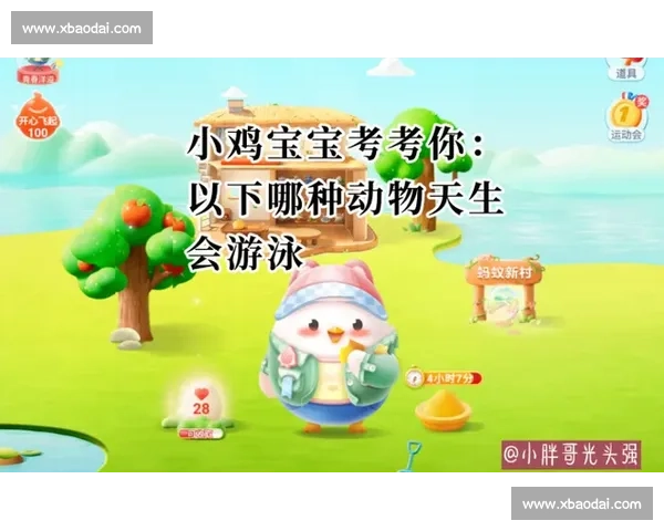 大空庄园趣味竞赛精彩瞬间与策略全解析