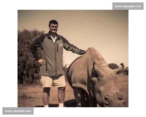 姚明经典比赛全程高清录像回放 重温巨星风采与篮球荣耀