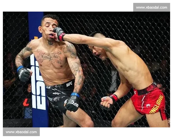 李景亮UFC最新对决精彩回顾及胜负分析揭秘
